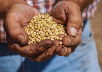 America’s quietest crop is set to take center stage in Trump-Xi talks