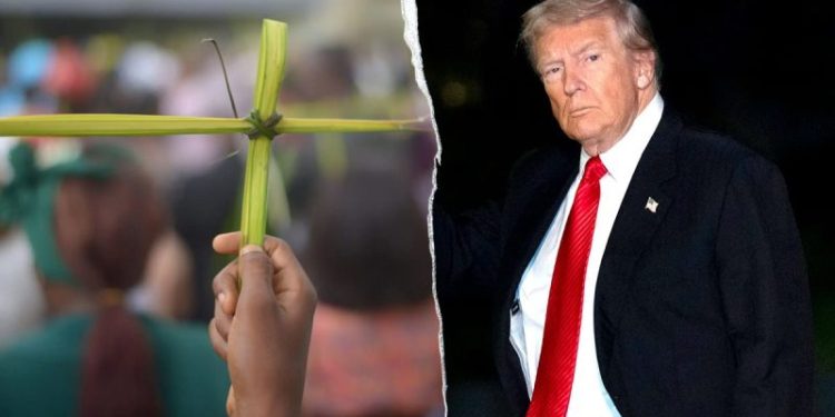 Trump targets ISIS in Nigeria amid warnings Sahel region is becoming ‘epicenter of terrorism’