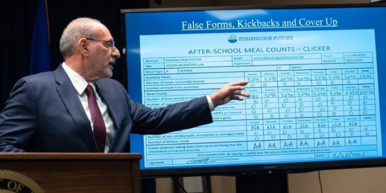 One chart lays bare the sprawling fraud network Minnesota officials missed