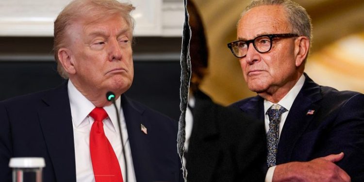 Trump, Schumer reach government funding deal, sacrifice DHS spending bill in the process